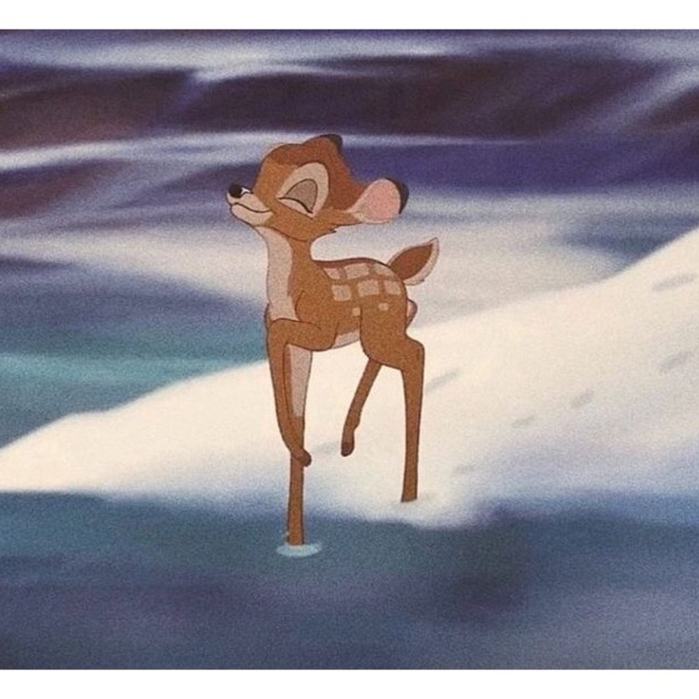 Meet your Posher, Lily